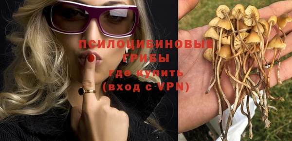 меф Алексин