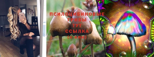 дживик Алзамай