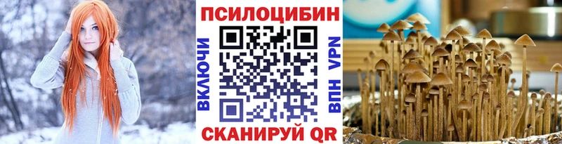 Галлюциногенные грибы Cubensis  наркотики  omg ссылки  Пустошка 